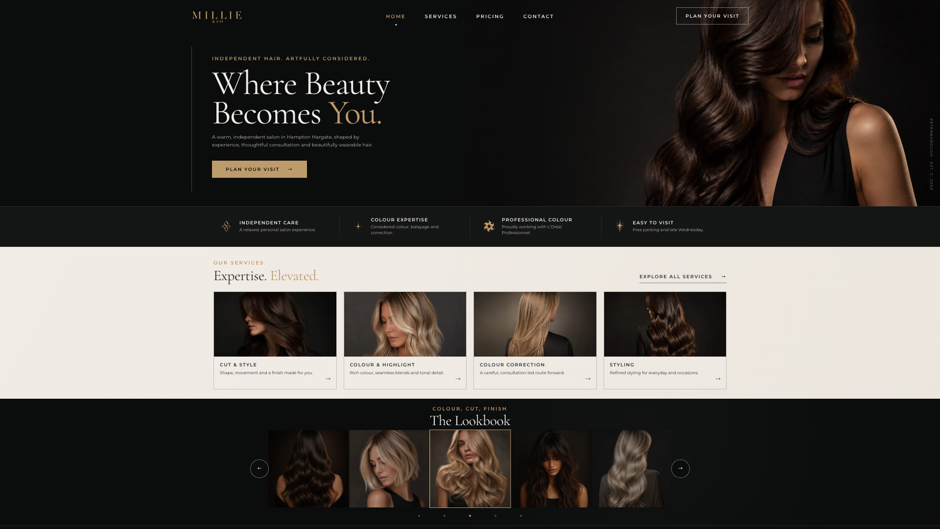 Preview of the current Velour website homepage